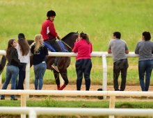 09.07 Corridas &raquo; 09.07 Corridas &raquo; Matinal 230324